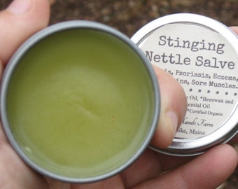 Nettle Salve...Stinging Nettle Salve, Healing Skin, Organic Salve, Traditional Herbal Remedies