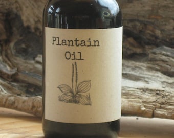 Plantain Oil...Organic Plantain Leaf Oil, Gentle Skin Care, Herbal First Aid, Gentle for Babies, Children, and Pets