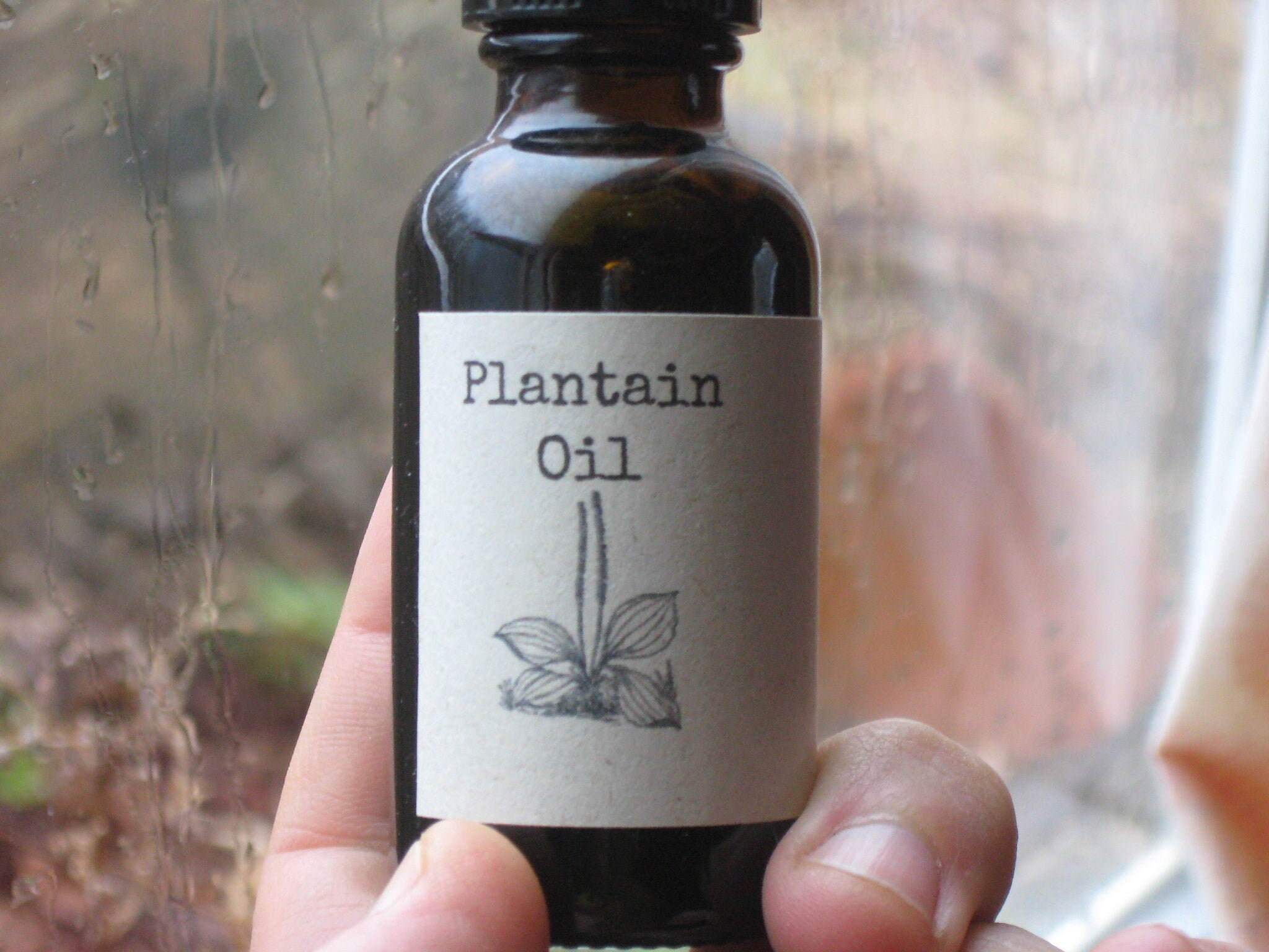 Plantain Plantain Leaf Oil Gentle Skin Care Etsy