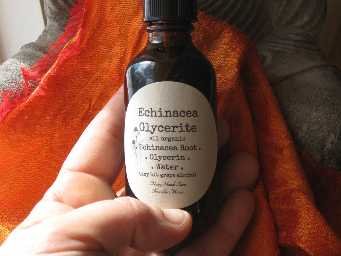 Echinacea Glycerite...... Echinacea Etsy