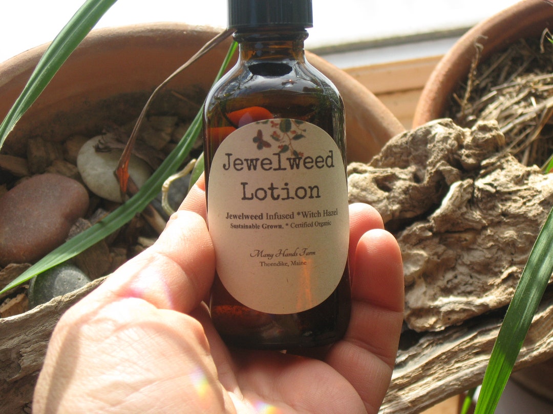 Jewelweed Lotion...jewelweed Infused Witch Hazel....jewelweed Remedy Etsy