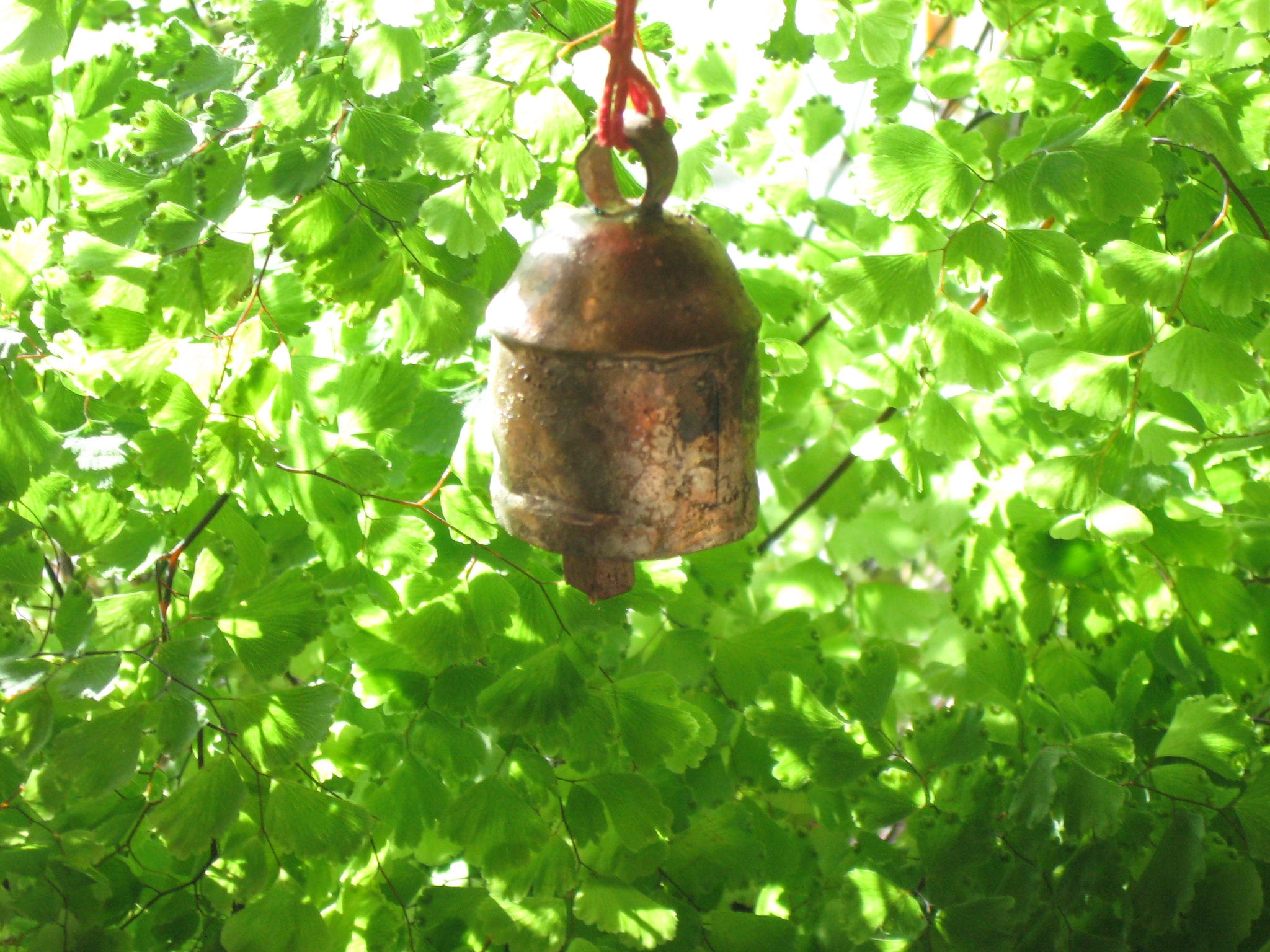 Nana Bell....Beautiful Bell from India..Garden Bell...Goat Bell...Mus…