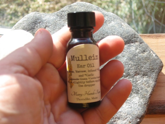 Mullein garlic oil for cheap dogs