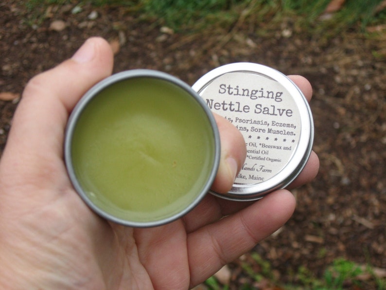 Nettle Salve...healing Skin Burns Pain & Etsy