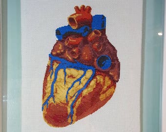 Anatomical Heart Cross Stitch Pattern