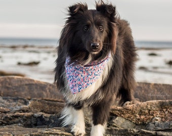 Mermaid Dog Collar Bandana, Tropical Dog Bandana, Personalized Dog Bandana, Girl Dog Accessories, Pet Gift, Birthday Gifts For Beach Lovers