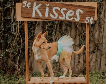 Small Dog Tutu, Large Dog Tutu Dress, Polka Dot Dog Skirt, Spring Dog Accessories, Dog Photo Props, Pet Gift, Birthday Gifts For Dog Lovers