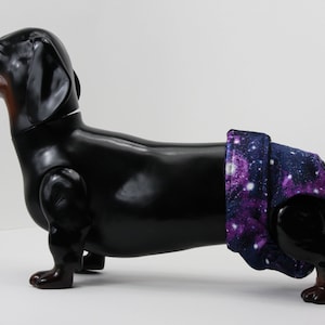 Boy dog diapers clearance