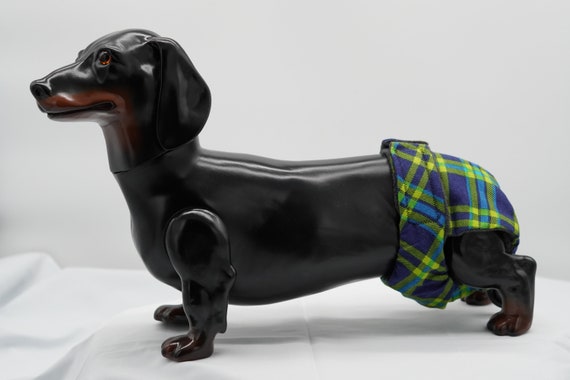 Dachshund heat diaper hot sale