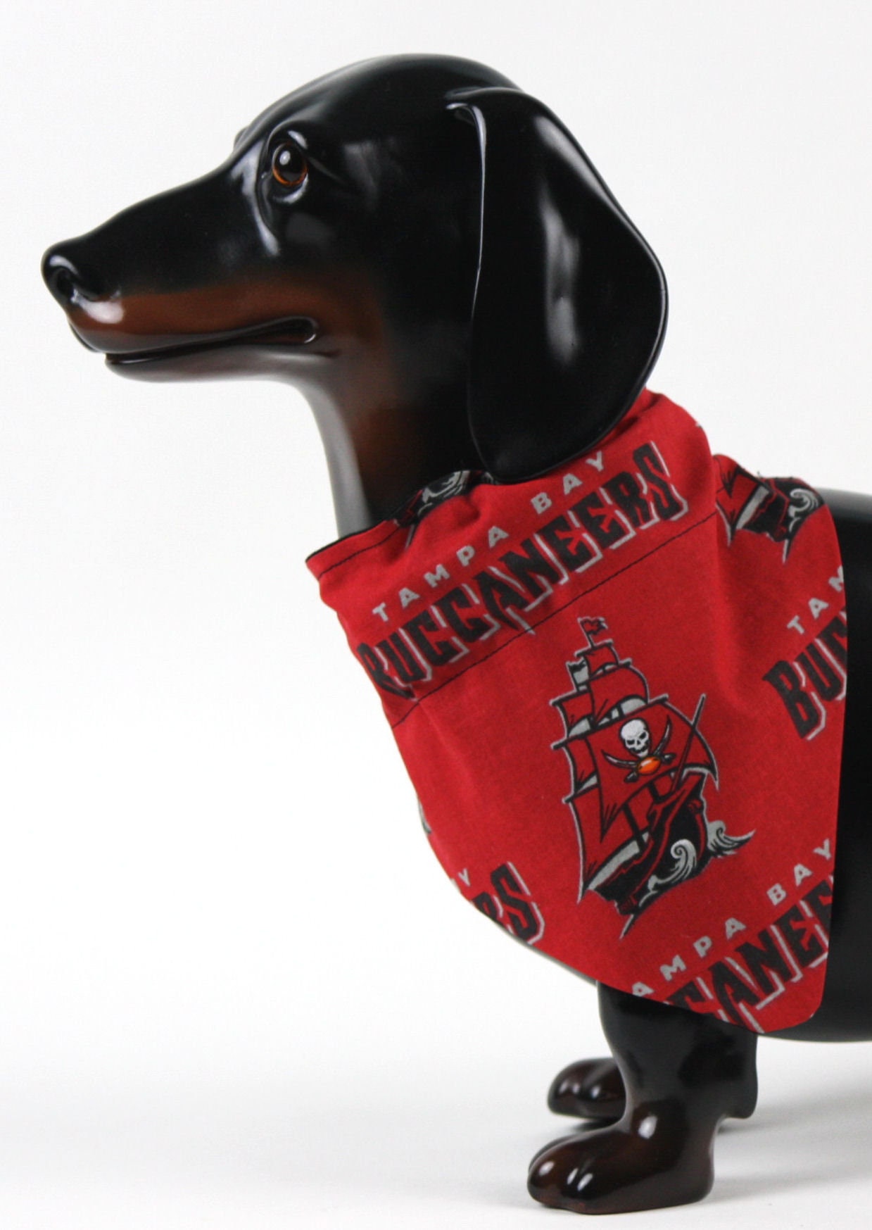 buccaneers dog jersey