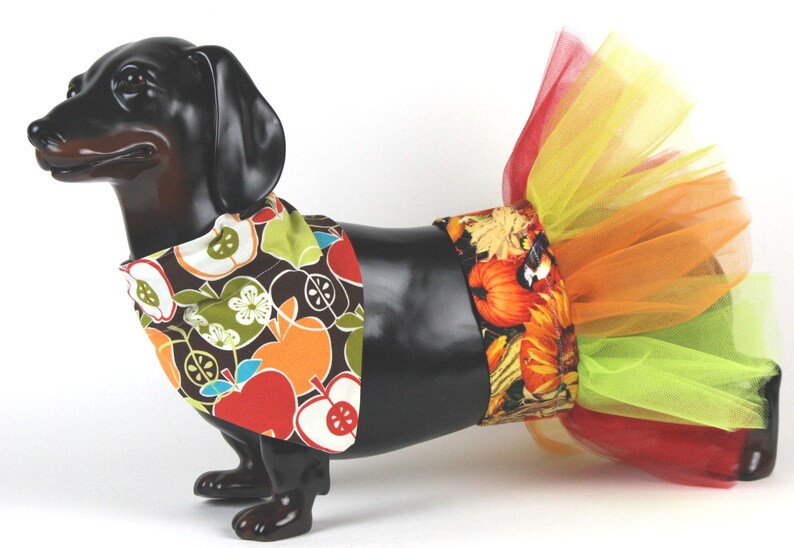 Thanksgiving Dog Costume Small Dog Tutu Large Dog Tutu Etsy