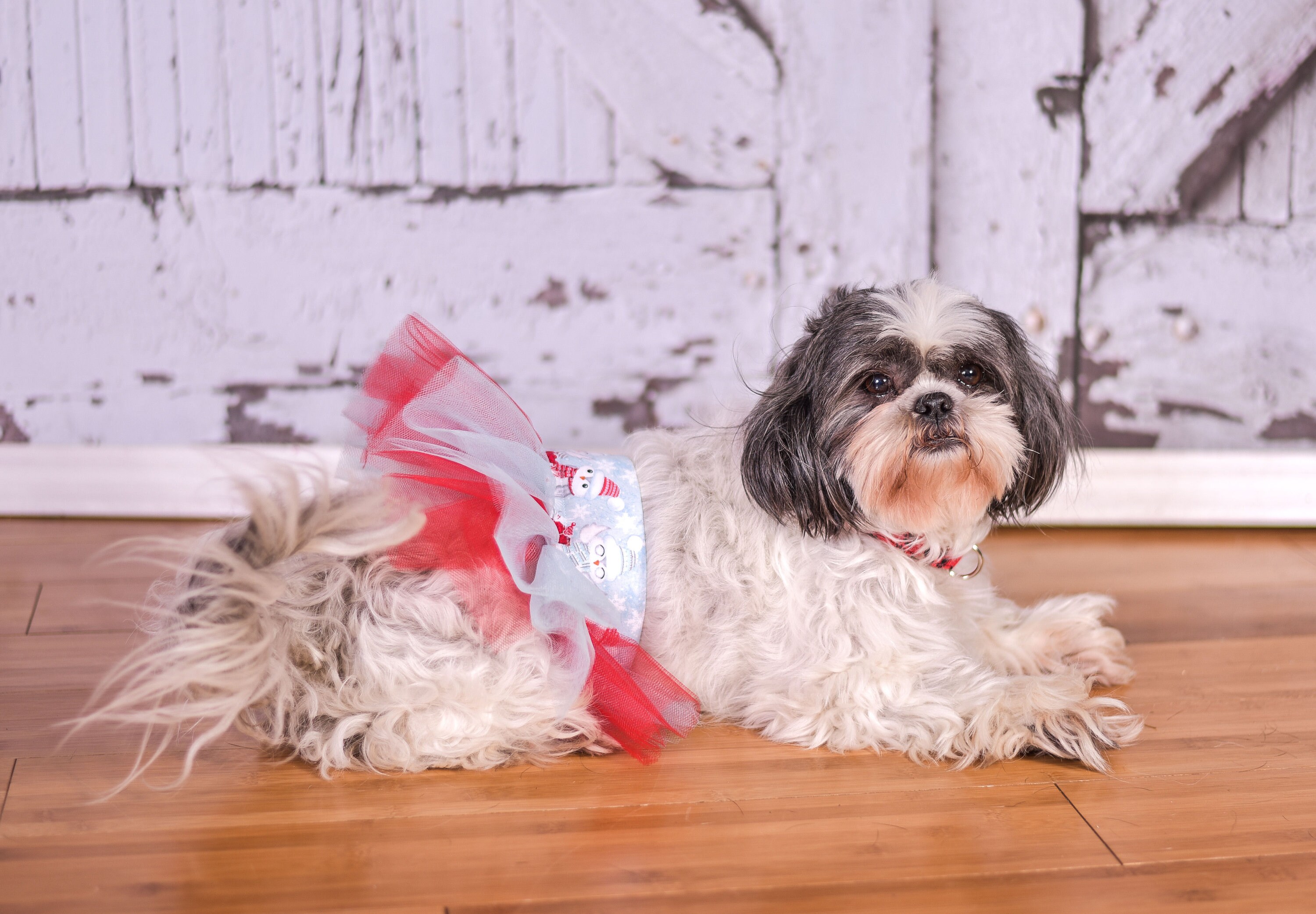 Nurse Dog Costume Heartbeat Dog Skirt Large Dog Tutu Small Etsy