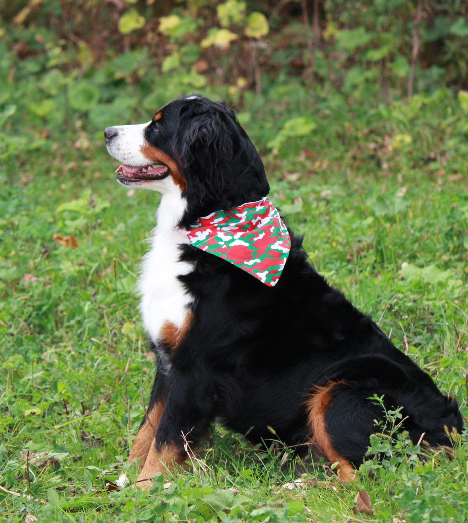 Christmas Dog Bandana Christmas Lights Dog Scarf Holiday Dog Etsy