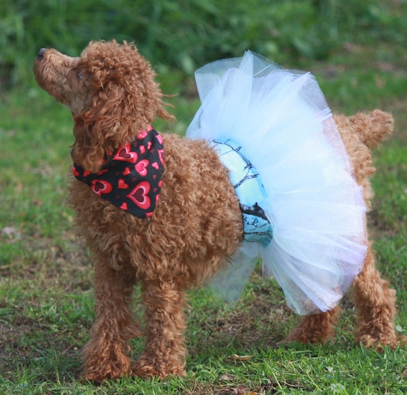 Large Dog Tutu Small Dog Tutu Dress Princess Dog Skirt Blue