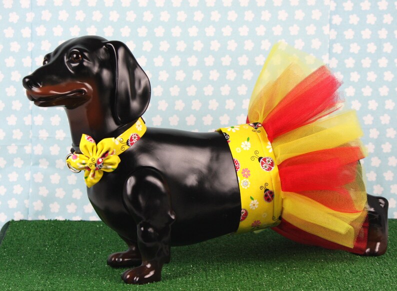 Large Dog Tutu Small Dog Tutu Dress Dog Skirt Ladybug Dog Etsy