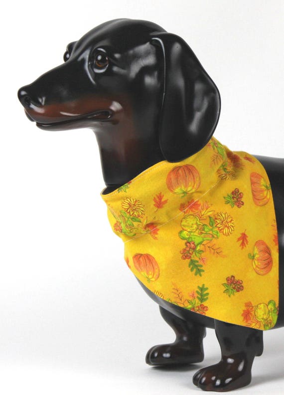 Pumpkin Dog Bandana Over the collar Pumpkins Cat Bandana Fall Pet Bandana Gifts for pets Slip on Bandana Dog Bandana Pet
