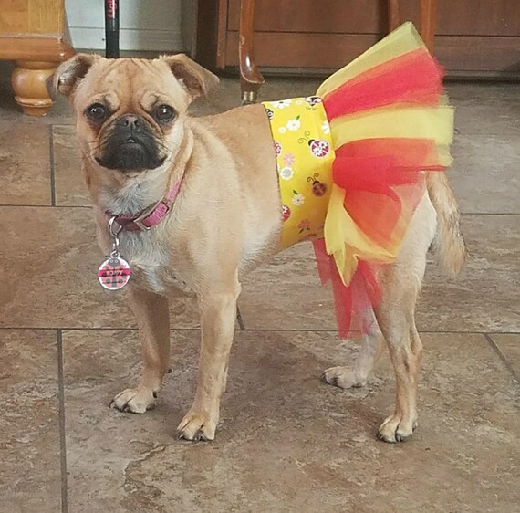 small dog tutu