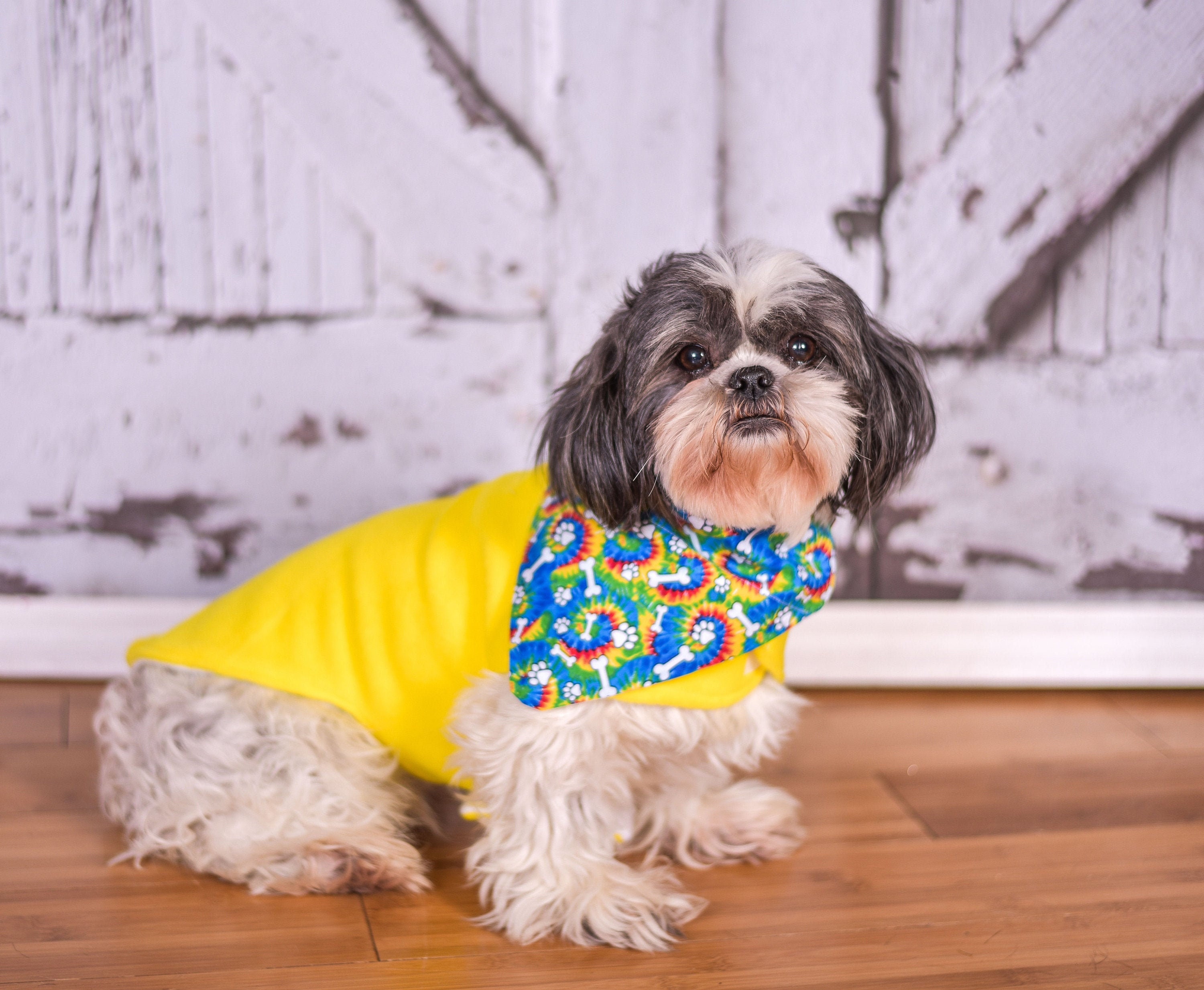 Boho Dog Bandana Stripes Tulip Dog Bandana Spring Dog Bandana Bohemian Dog Bandana Girl Dog Bandana Tie On Pet Scarf