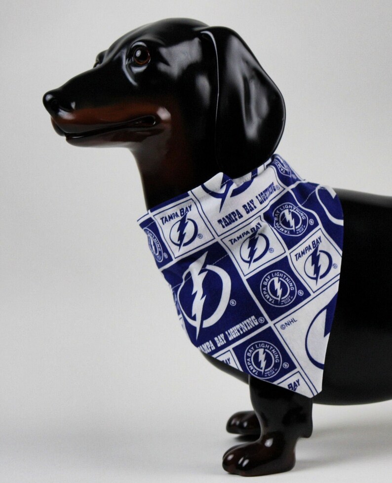 tampa bay lightning dog jersey