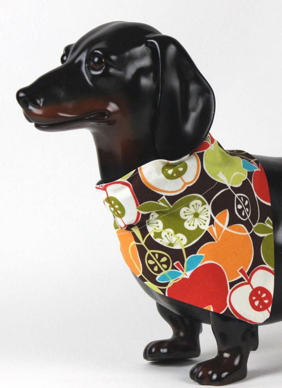Apple Dog Bandana OVER THE COLLAR
