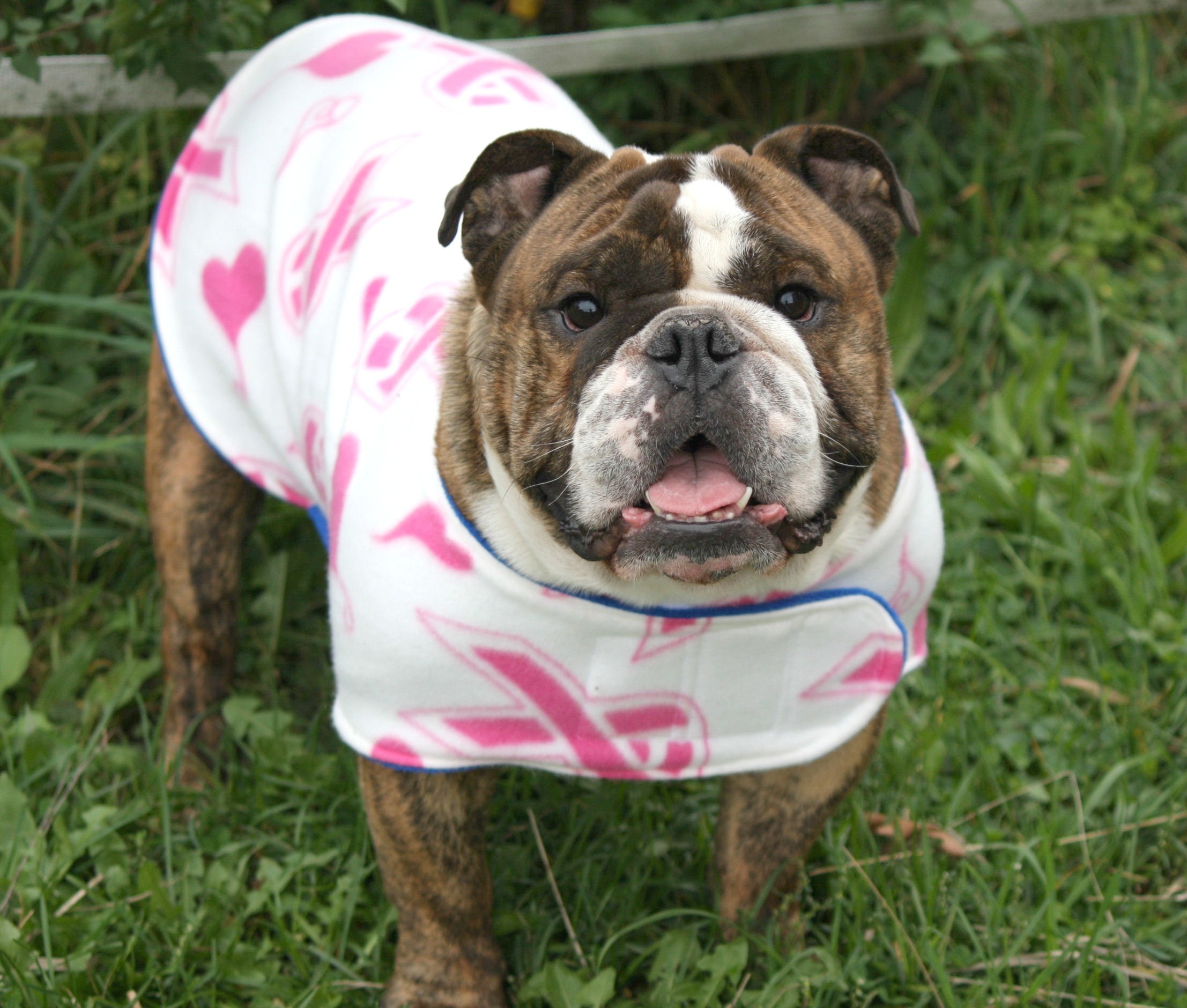 Country dog deals coats