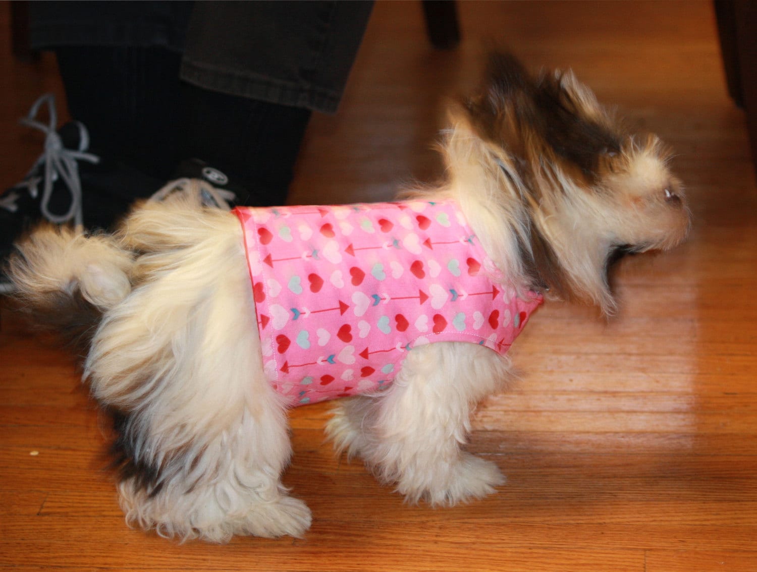 Girl Dog Clothes Hearts Dog Jacket Dog Clothing Dog Vest Etsy