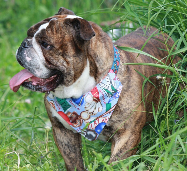 Baseball Dog Bandana Sports Dog Collar Bandana Personalized Etsy