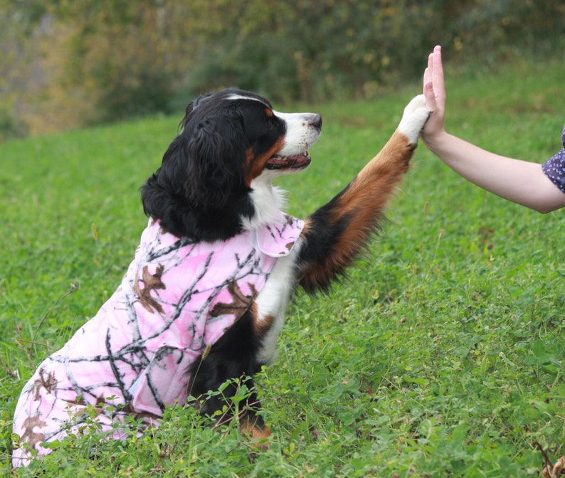 Bird Feathers Dog Clothing Dog Clothes Dog Vest Winter Dog Etsy