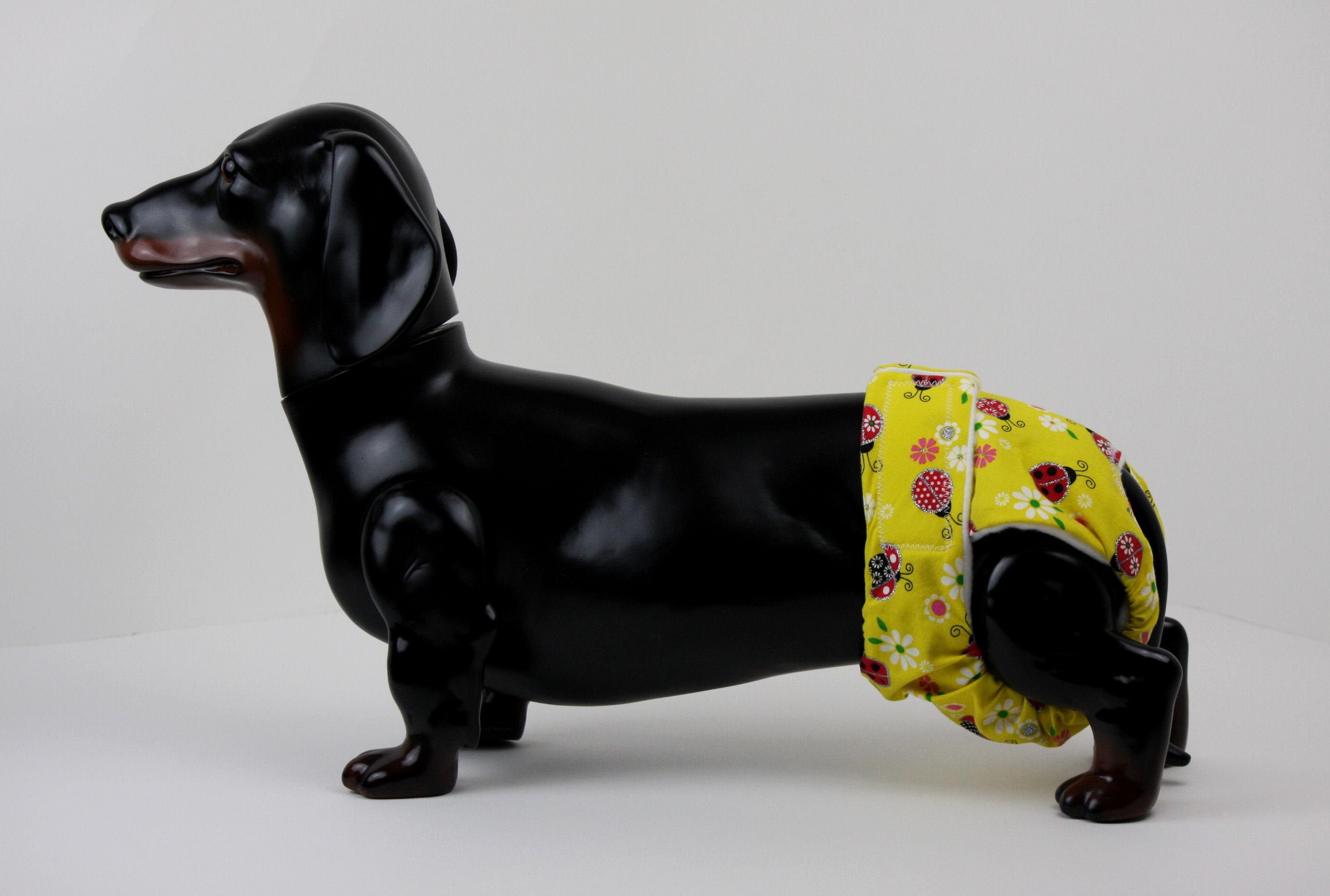 female dog accessories