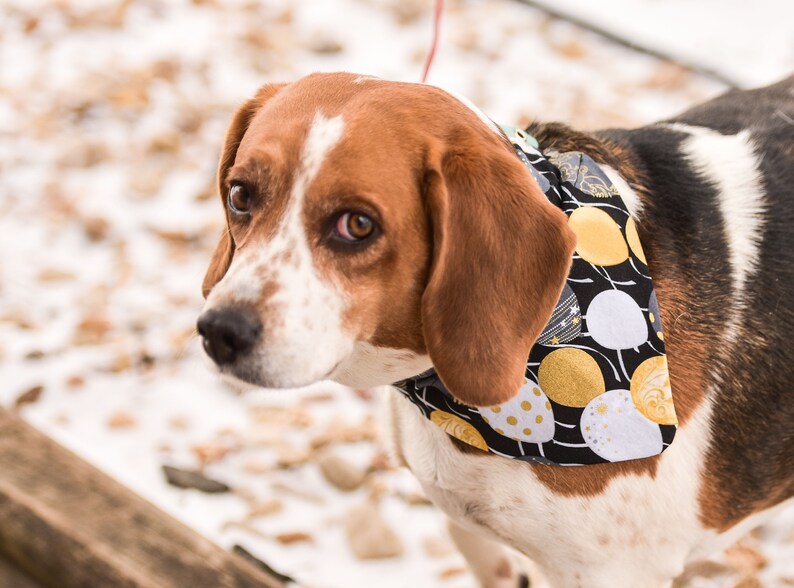 Baseball Dog Bandana Sports Dog Collar Bandana Personalized Etsy