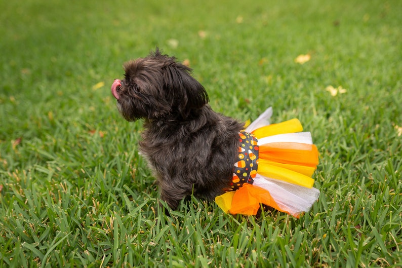 Fall Dog Skirt Small Dog Tutu Large Dog Tutu Dress Autumn Etsy