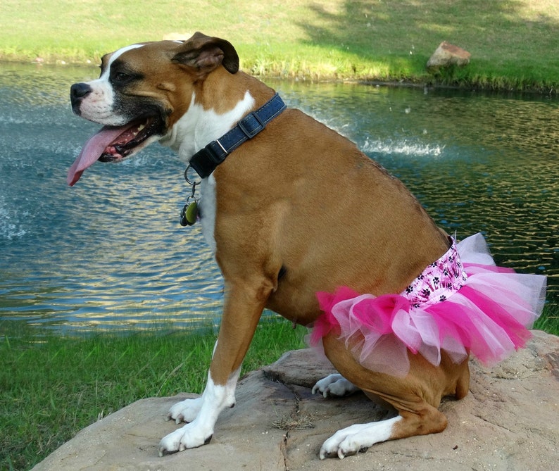 Tie Dye Dog Skirt Small Dog Tutu Large Dog Tutu Dress Boho Etsy