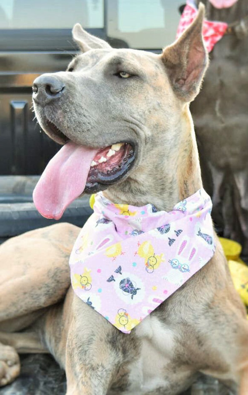 Easter Dog Bandana Funny Dog Scarf Easter Eggs Dog Etsy