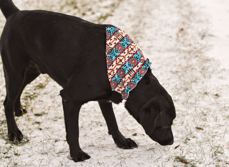 Southwestern Dog Collar Bandana Personalized Dog Bandana Dog Etsy
