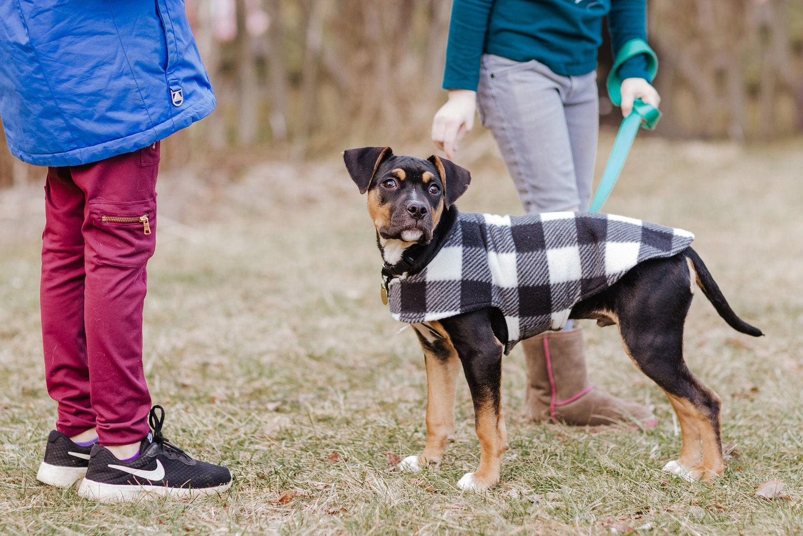 Fleece Dog Coat Plaid Dog Shirt Dog Vest Dog Clothes Large Etsy