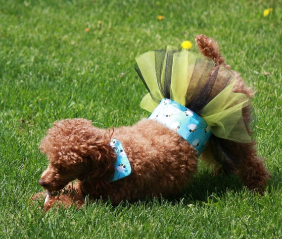 Large dog birthday clearance outfit