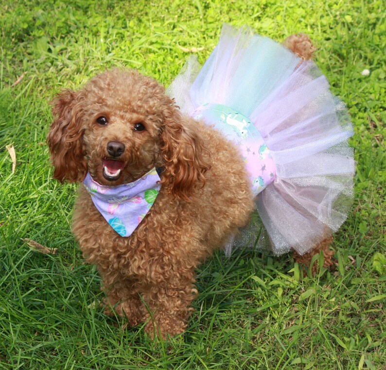 Nurse Dog Costume Heartbeat Dog Skirt Large Dog Tutu Small Etsy