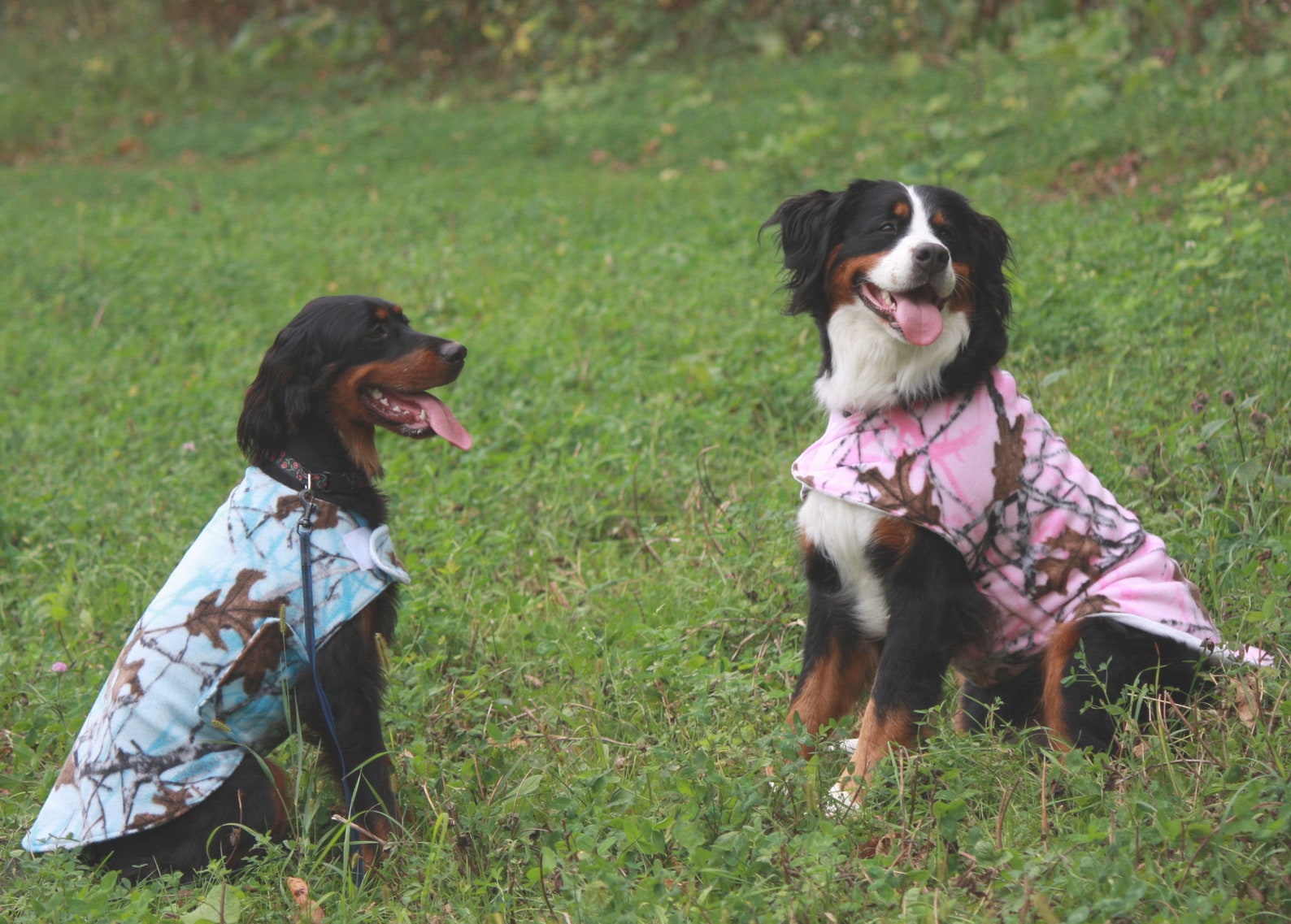 Paris Dog Vest Dog Jacket Girl Dog Clothes Boho Dog Coat Etsy