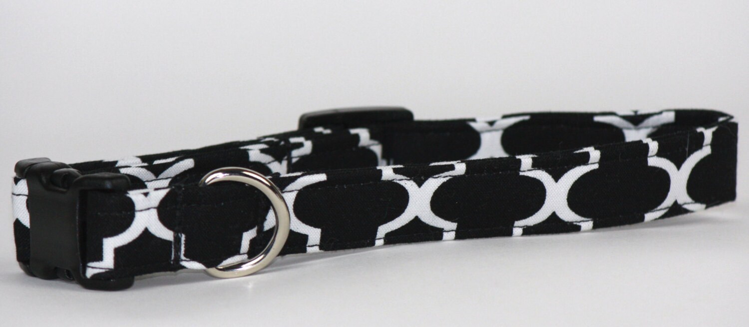 Medium Dog Collar Unique Dog Collar Girl Dog Accessories Etsy