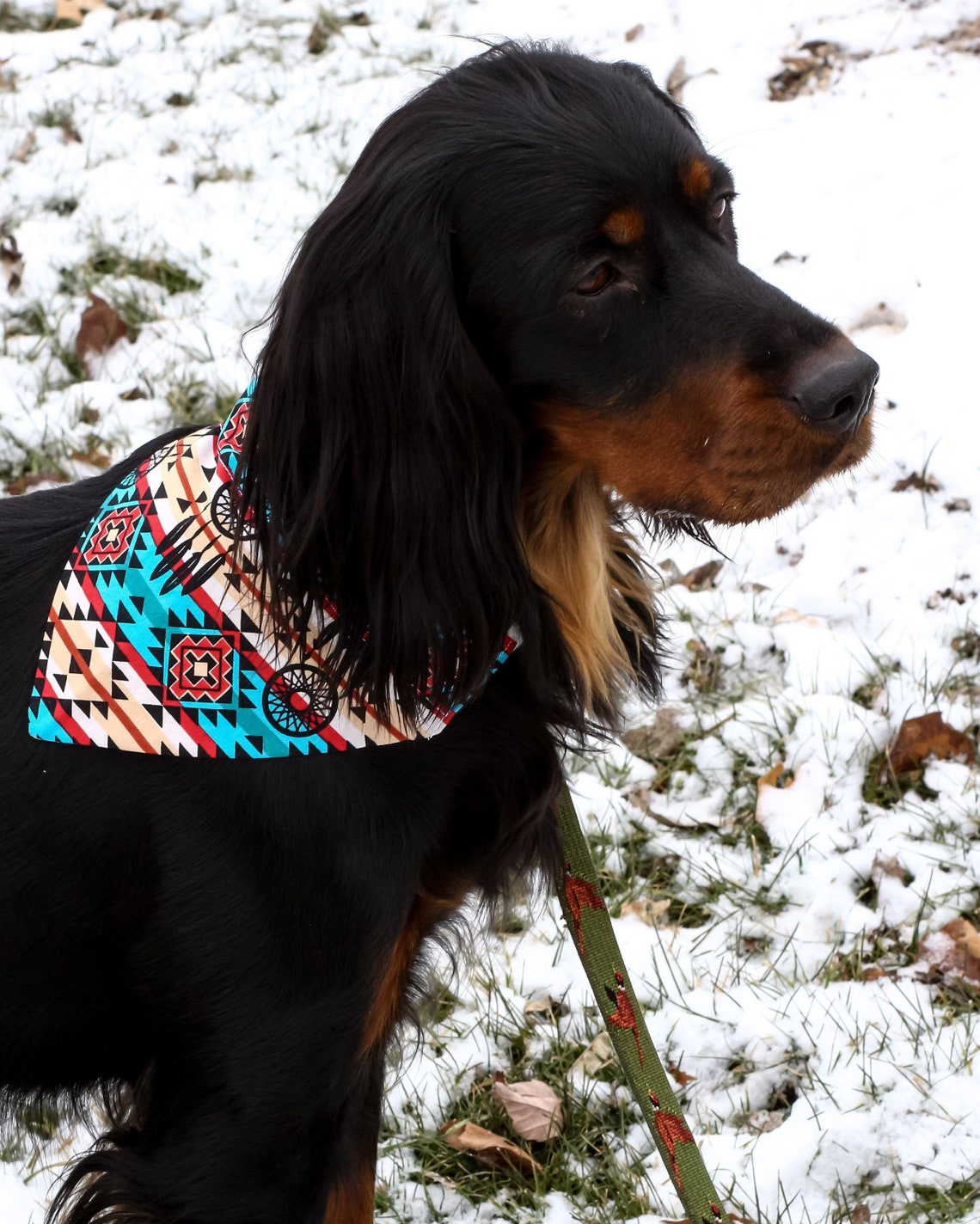 Southwestern Dog Collar Bandana Personalized Dog Bandana Dog Etsy