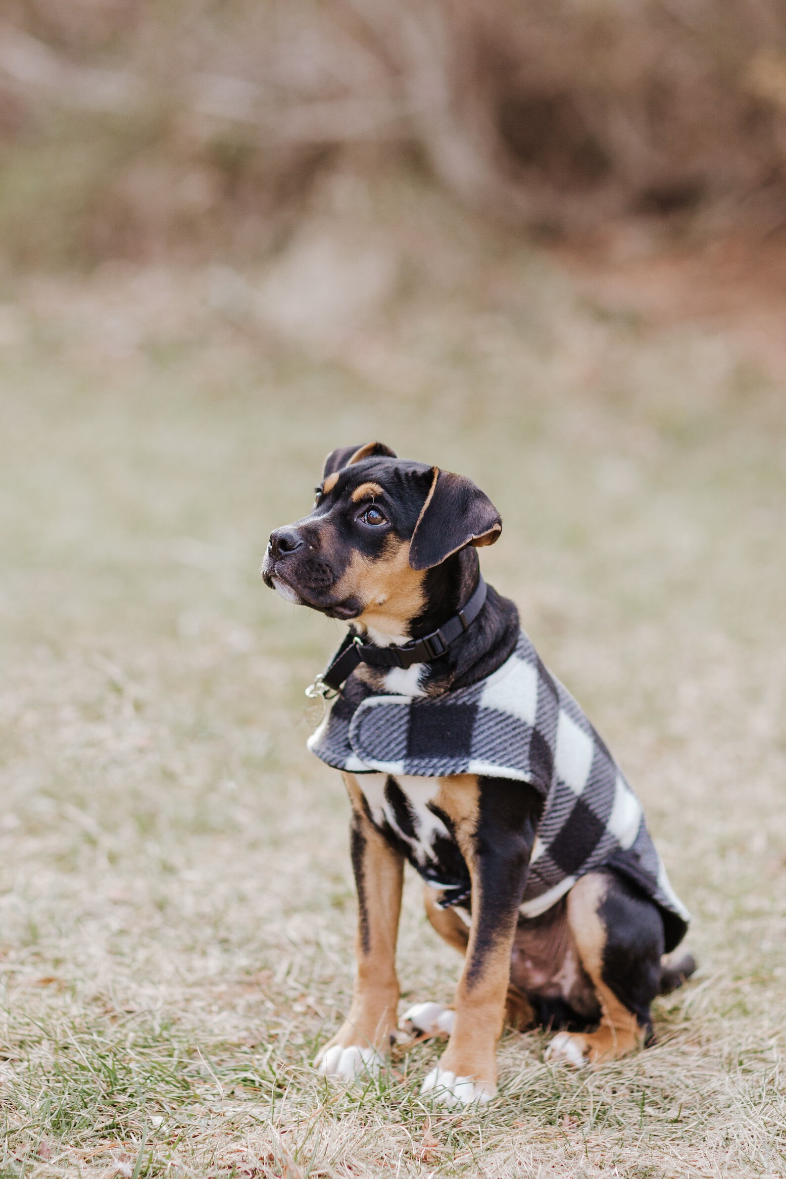 Fleece Dog Coat Plaid Dog Shirt Dog Vest Dog Clothes Large Etsy