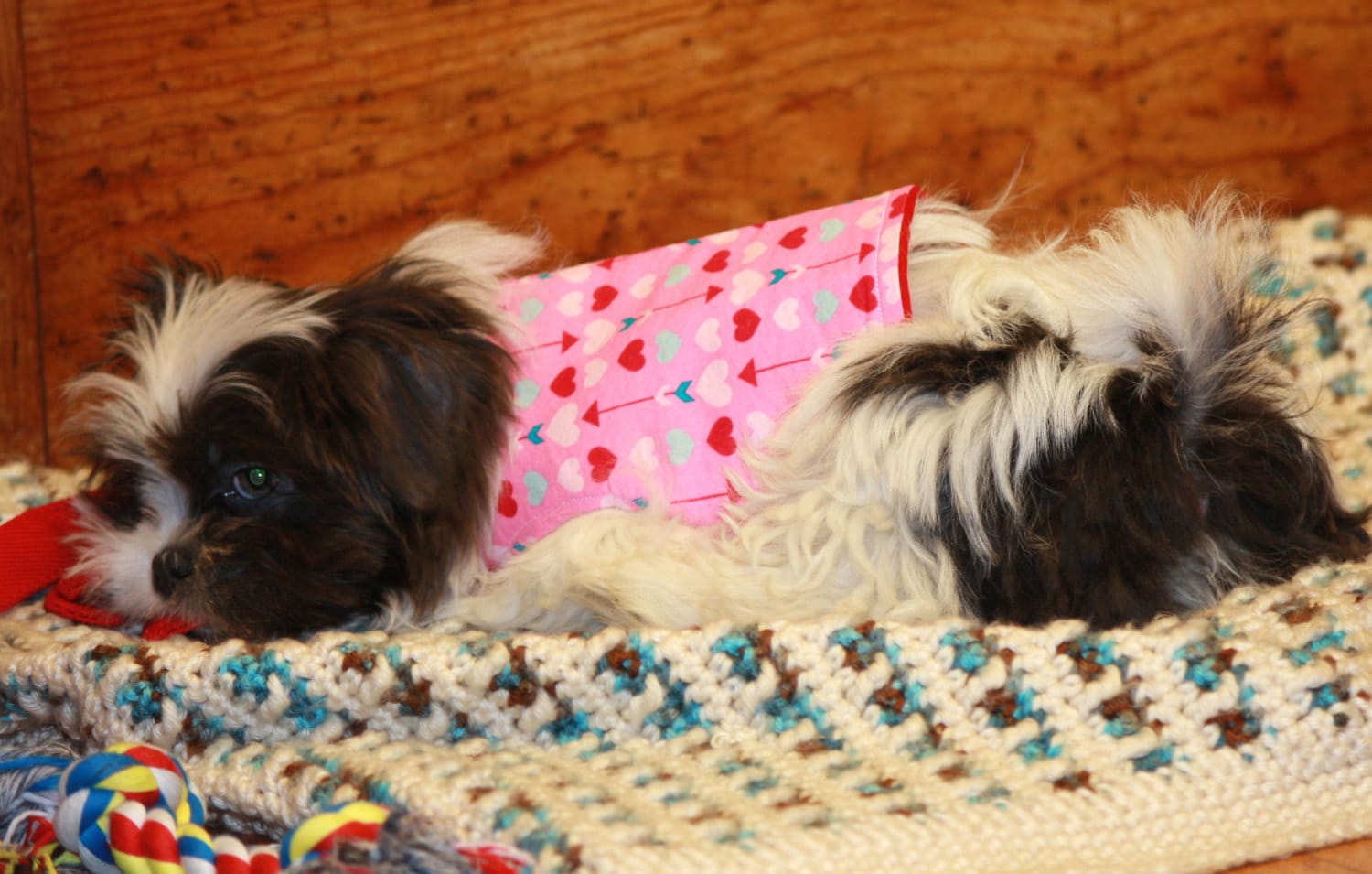 Girl Dog Clothes Hearts Dog Jacket Dog Clothing Dog Vest Etsy