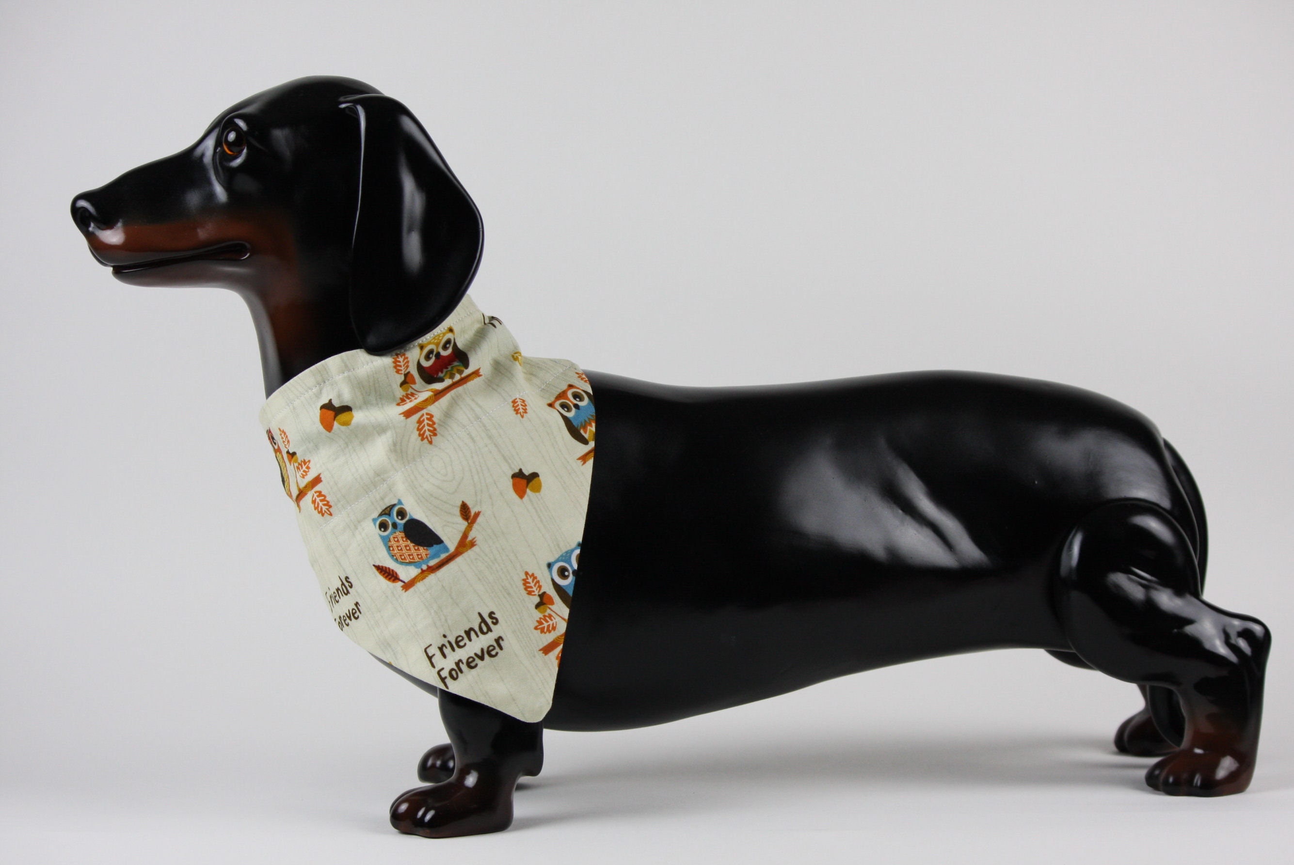 Friends forever dog coat deals