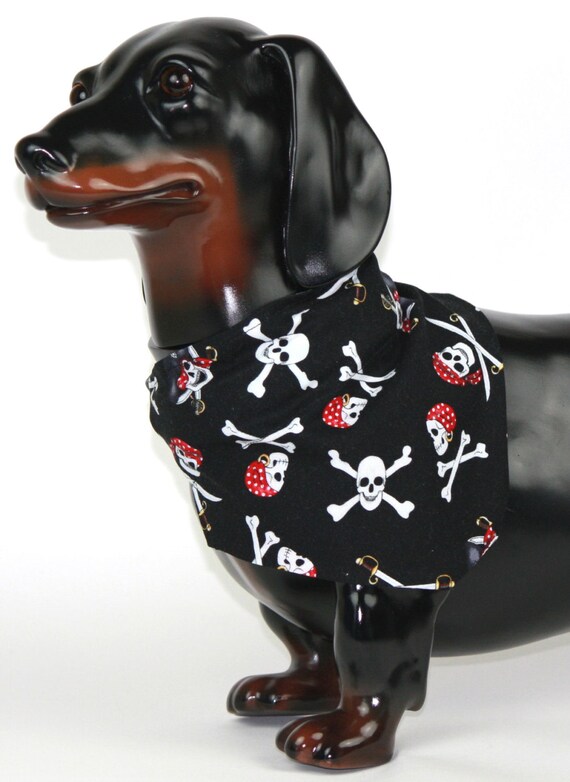 pirate dog bandana