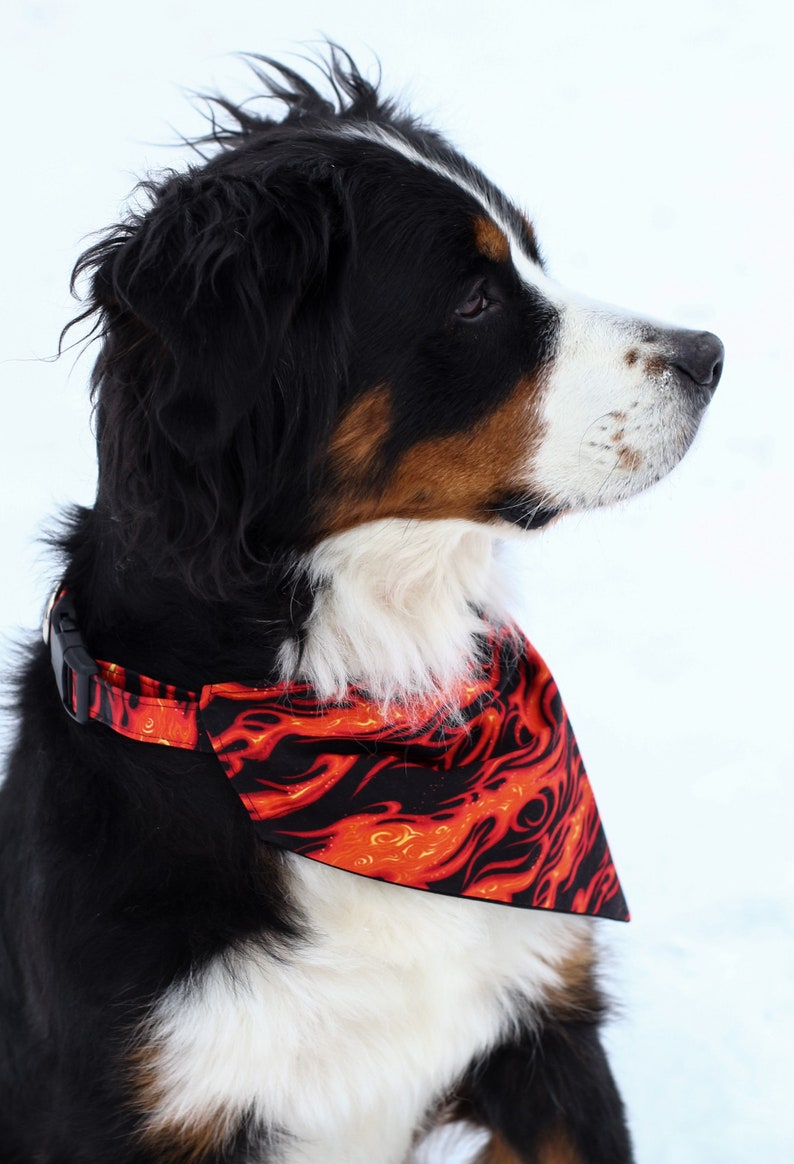 Fire Dog Bandana Cool Dog Collar Bandana Flames Dog Etsy
