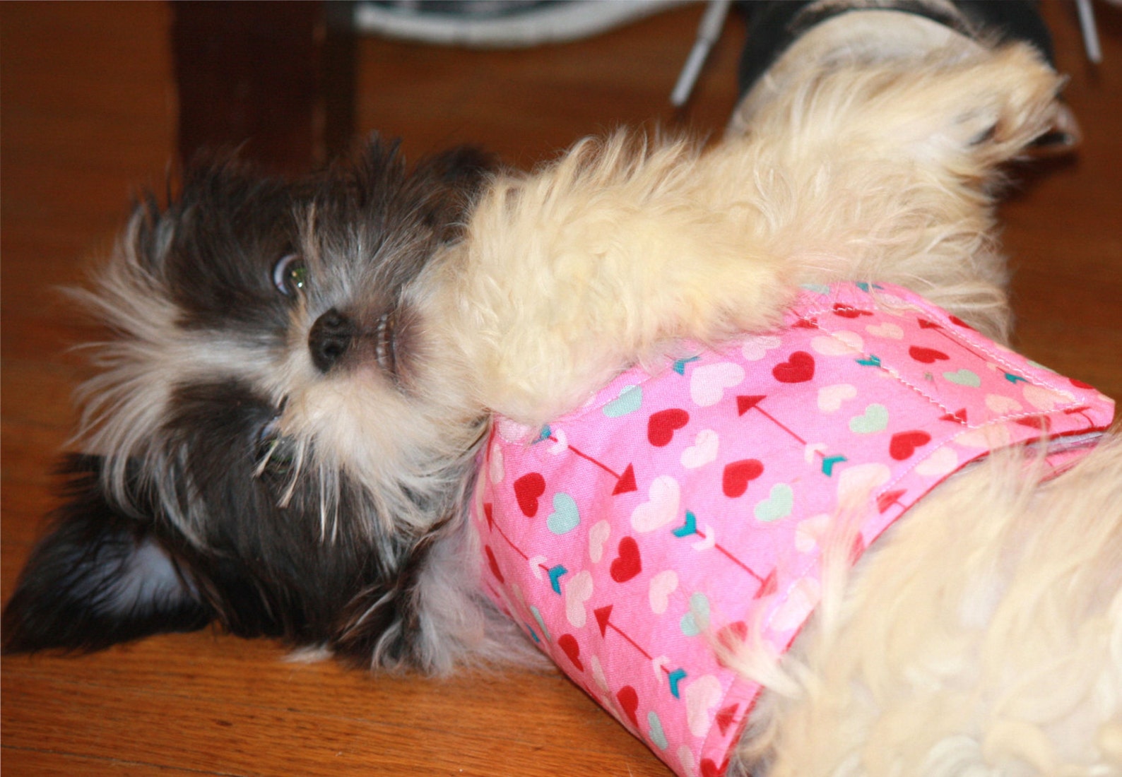 Girl Dog Clothes Hearts Dog Jacket Dog Clothing Dog Vest Etsy