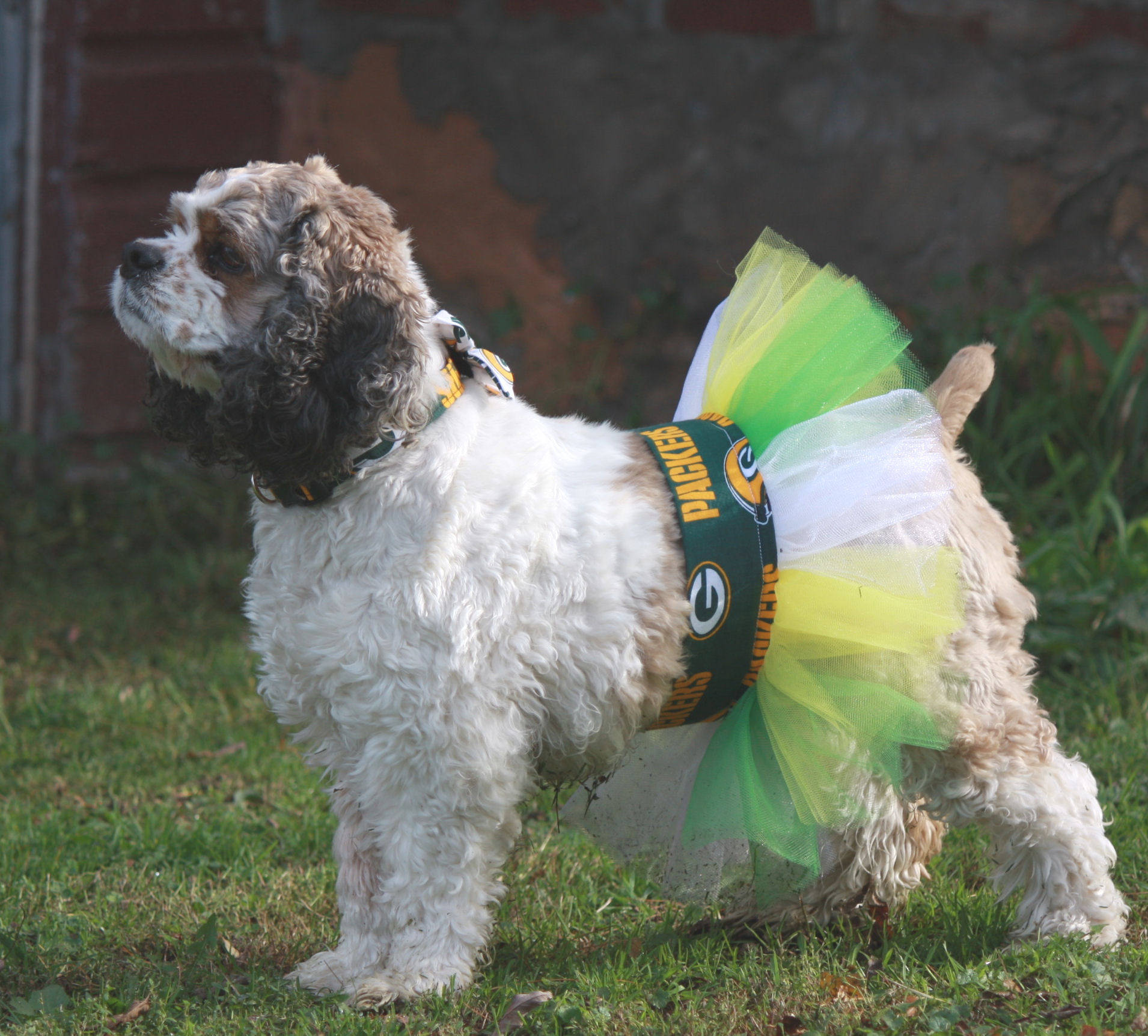Large Dog Tutu Dress Small Dog Tutu Football Dog Costume Etsy