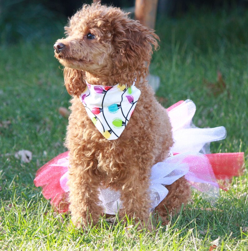 Christmas Dog Bandana Christmas Lights Dog Scarf Holiday Dog Etsy