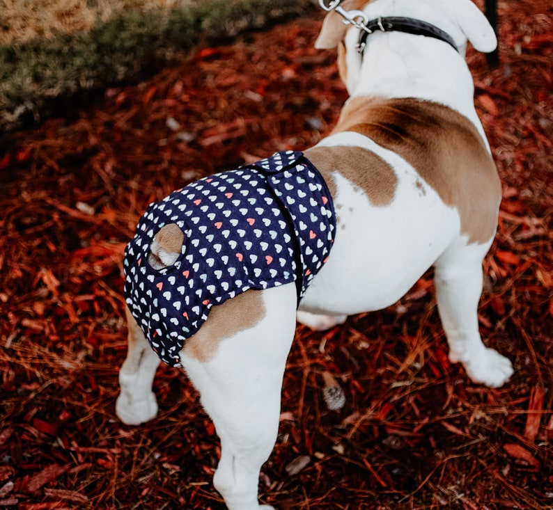 Country Rustic Dog Diaper Washable Dog Diapers Male Dog Etsy