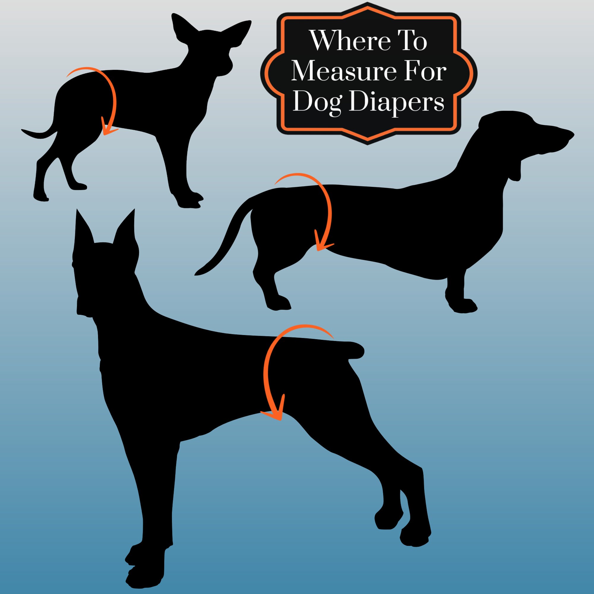 How Do You Measure A Female Dog For A Diaper